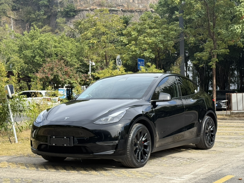 Tesla Model Y 2021 Tesla Model Y 2021 car image