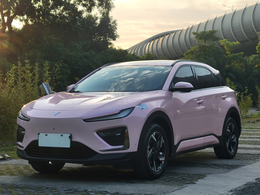 Neta X 2024 汽车图片 