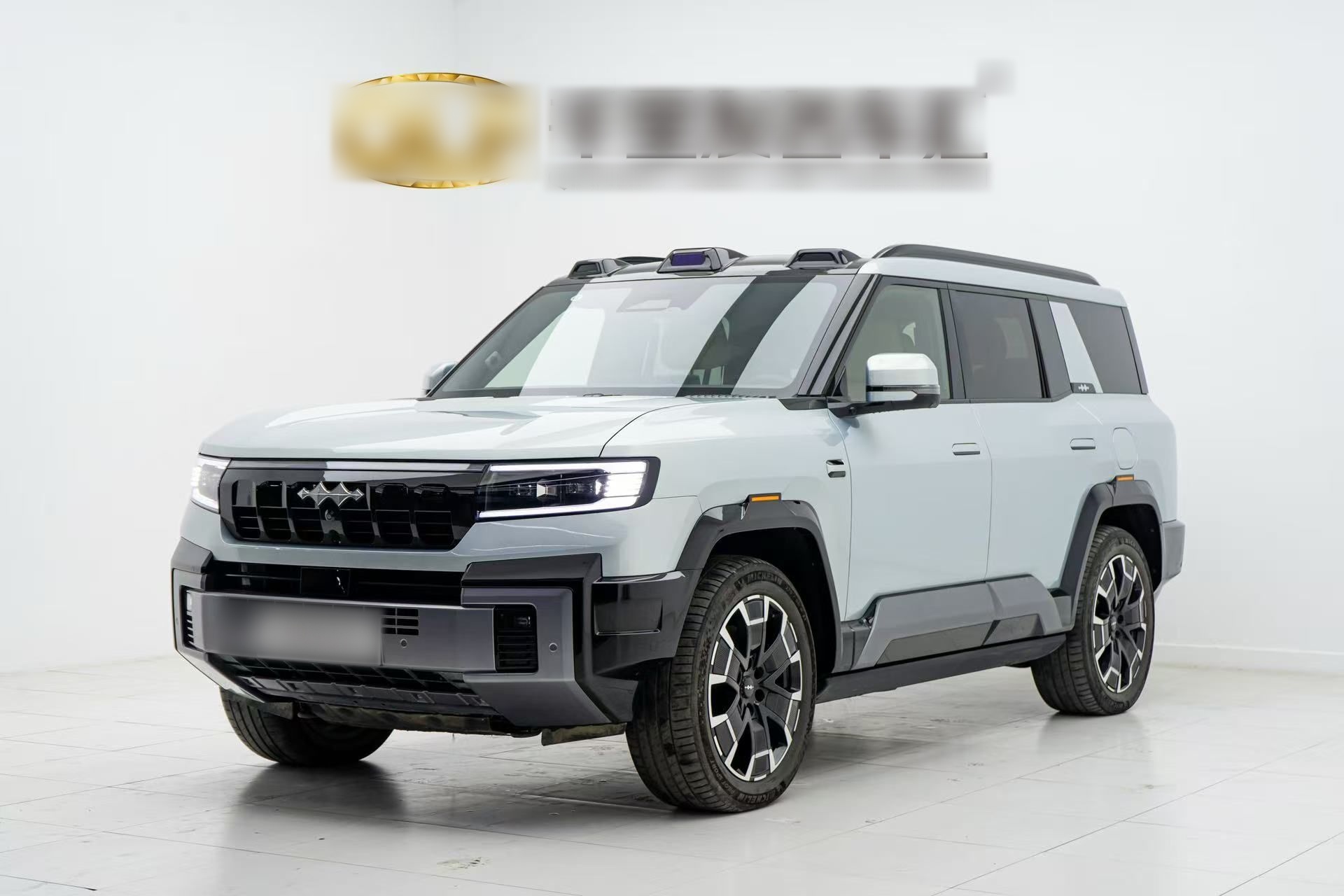 FangChengBao Leopard 8 2024 car image 