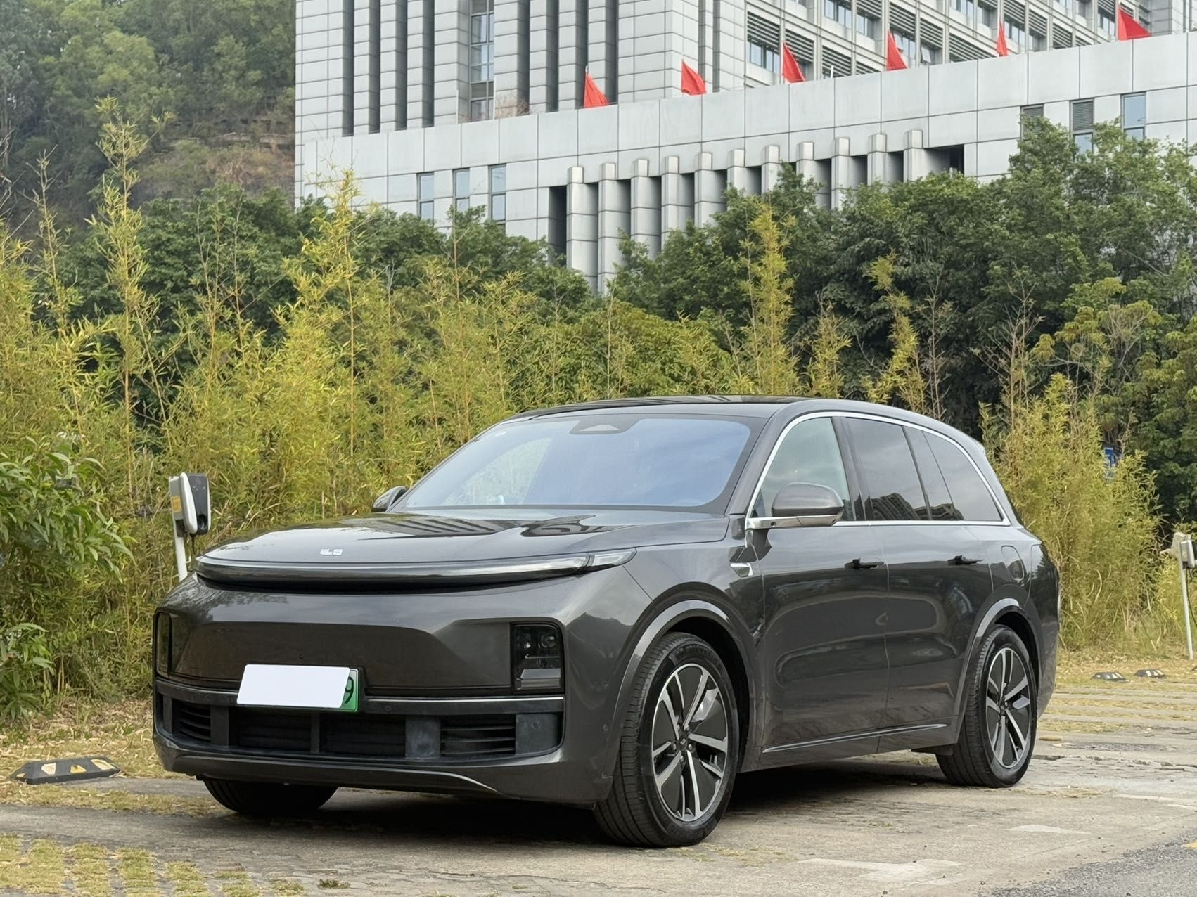 Li L8 2024 изображение автомобиля 