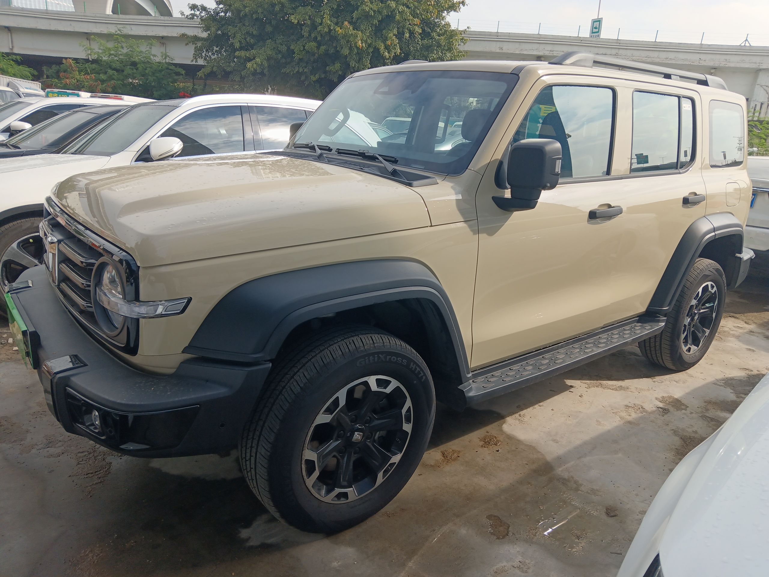 Tank 300 New Energy 2025 car image 