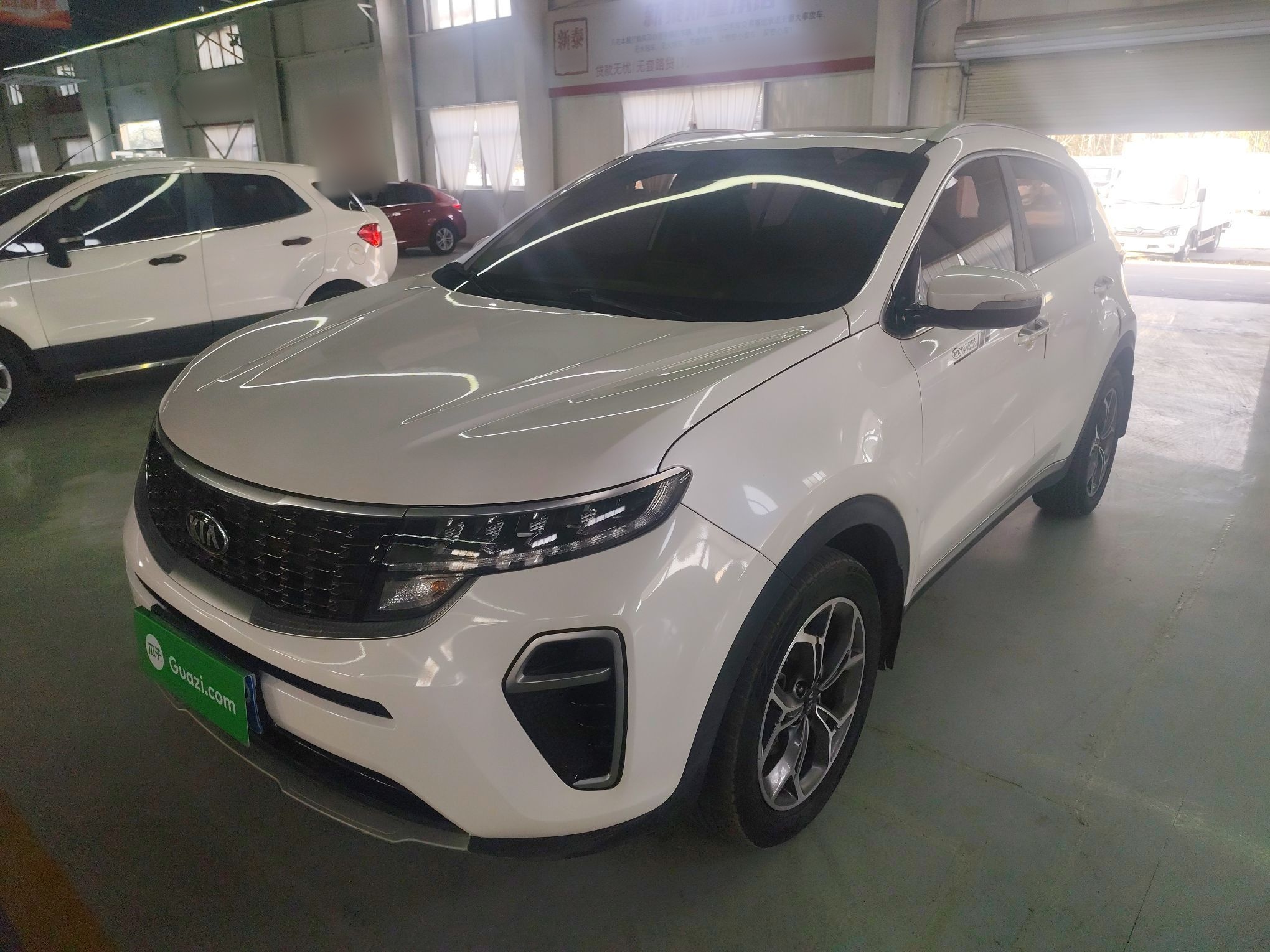 Kia KX5 2020 汽车图片 