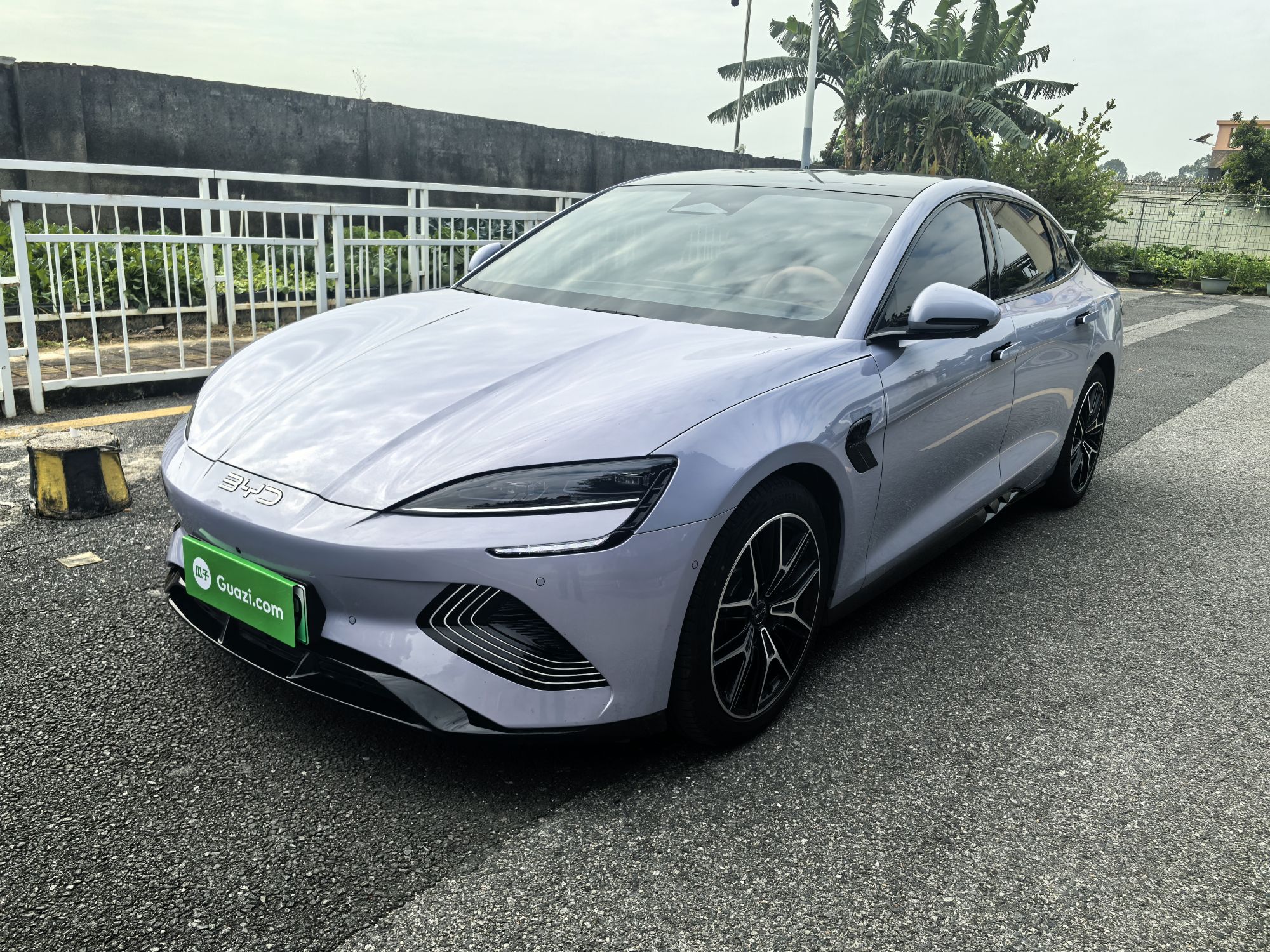 BYD Seal 2024 car image 