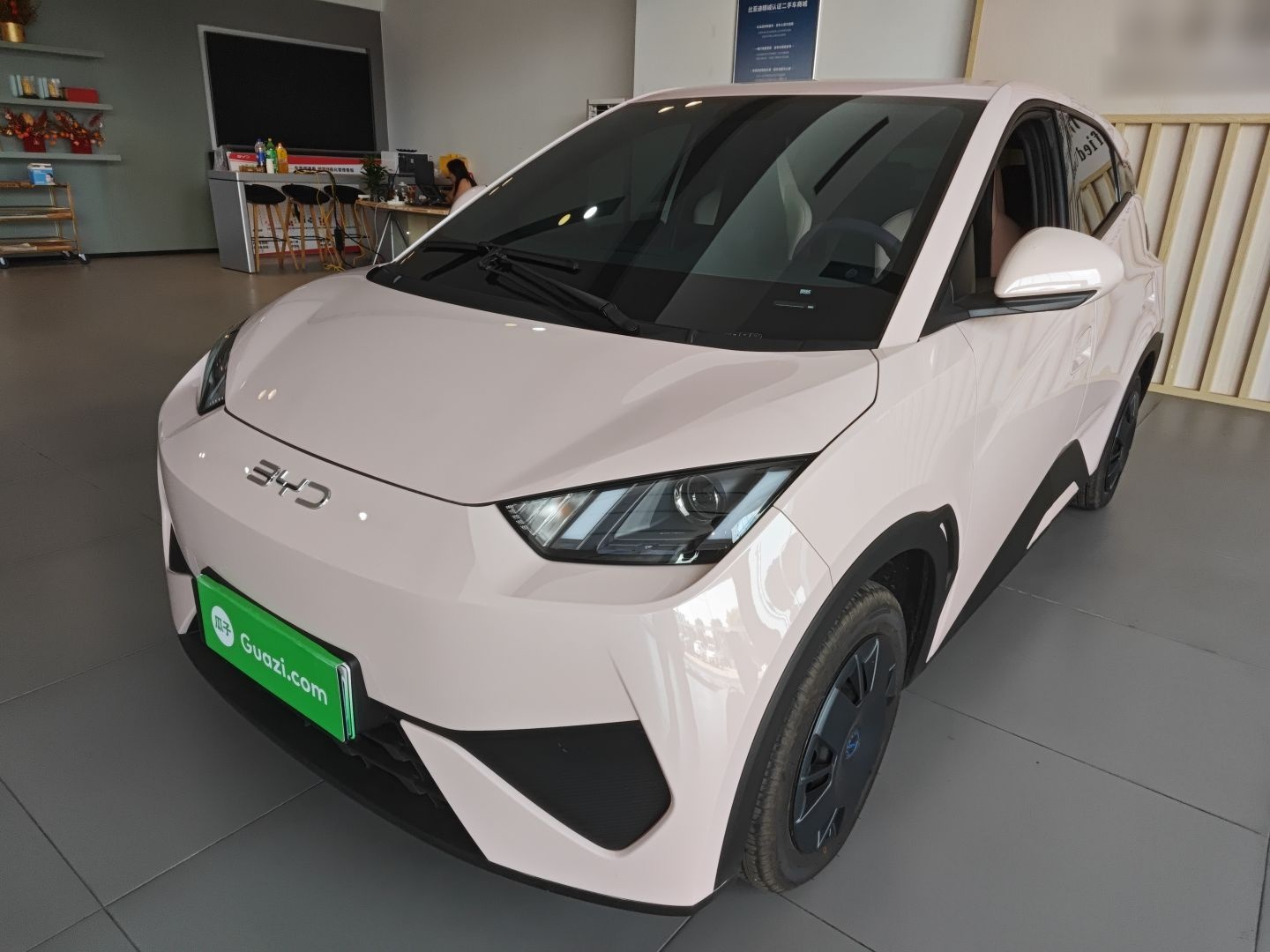 BYD Seagull 2025 car image 