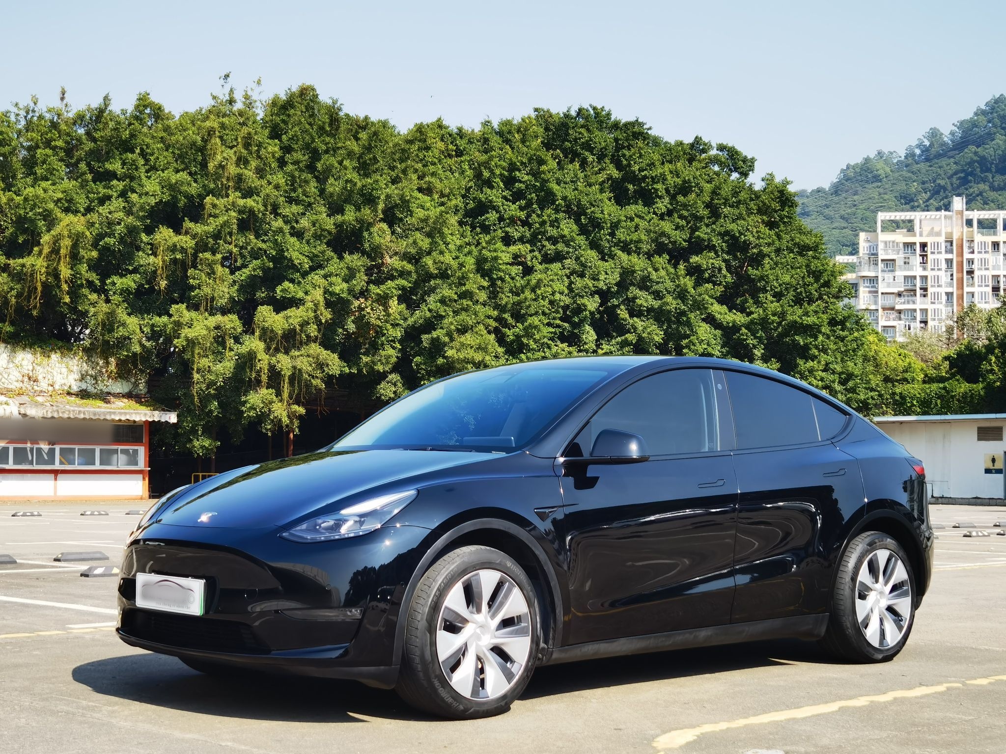 Tesla Model Y 2022 Tesla Model Y 2022 car image
