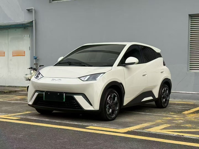 BYD Seagull 2024 car image 