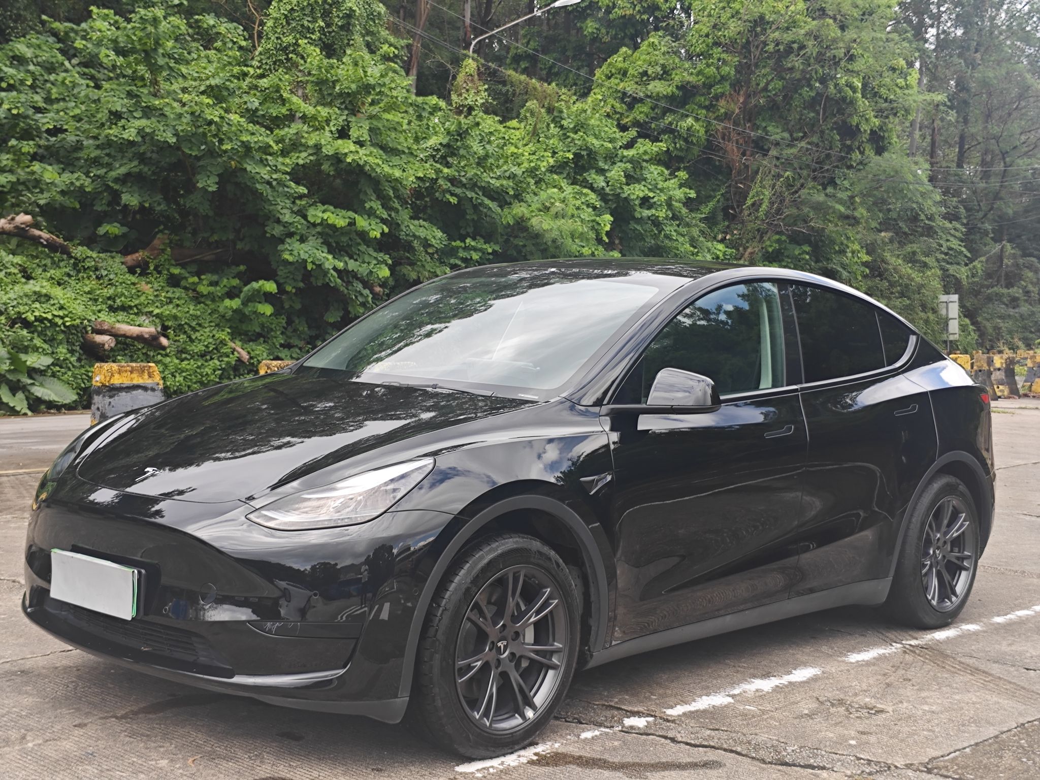 Tesla Model Y 2023 car image 