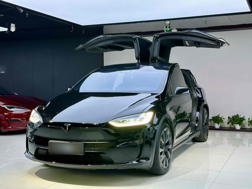 Tesla Model X 2023 汽车图片 