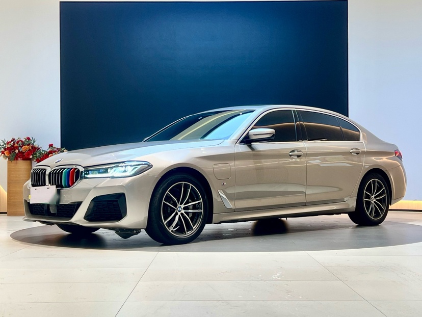 BMW 5 Series New Energy 2021 car image 