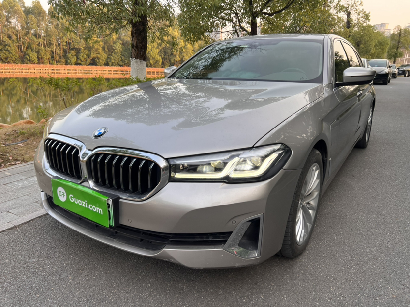 BMW 5 Series New Energy 2020 car image 