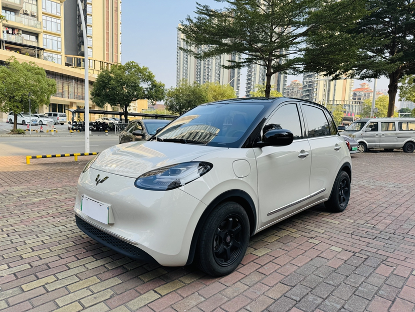 Wuling Binguo 2024 汽车图片 