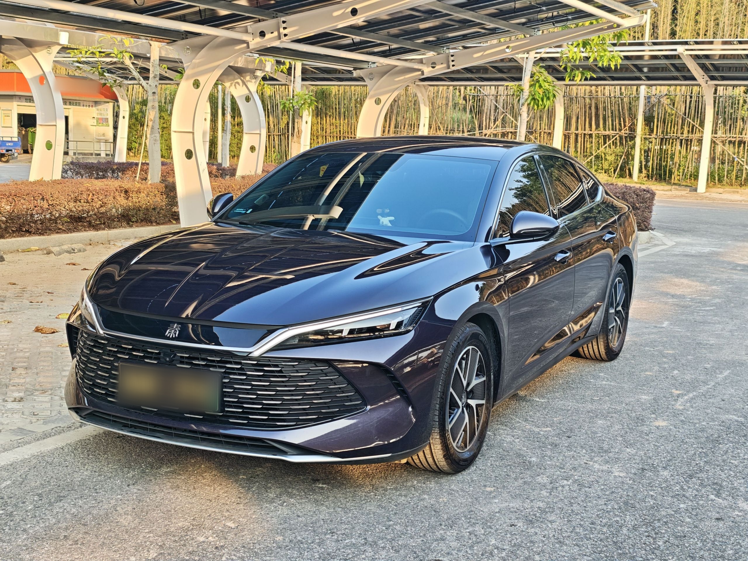 BYD Qin L 2025 car image 