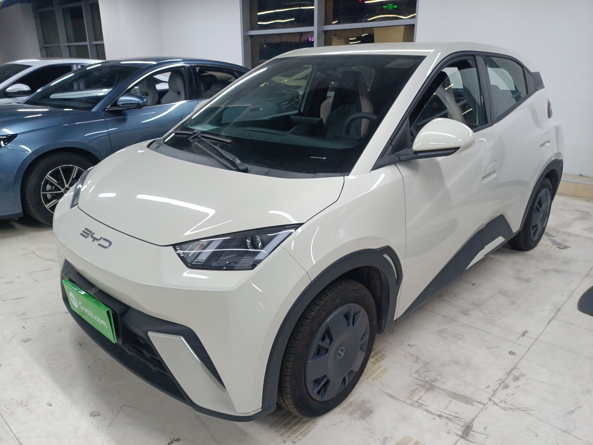 比亚迪 海鸥 2023 汽车图片 