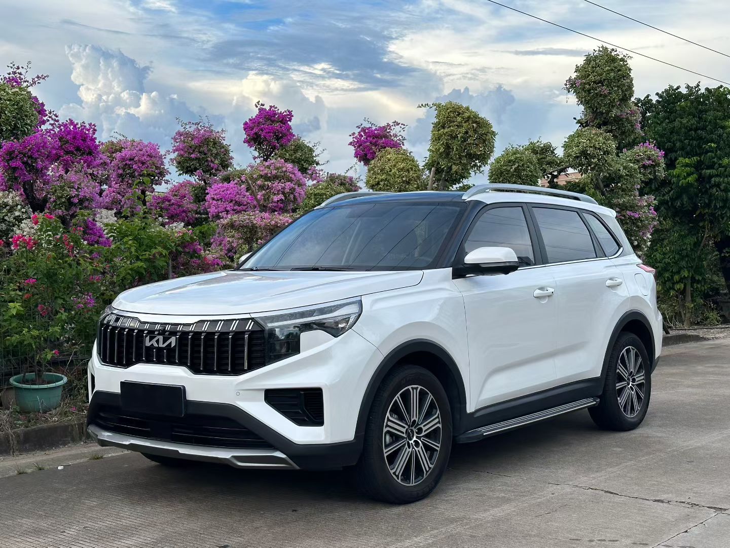 Kia Sportage R 2023 car image 