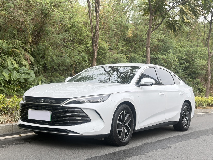 BYD Qin L 2024 car image 