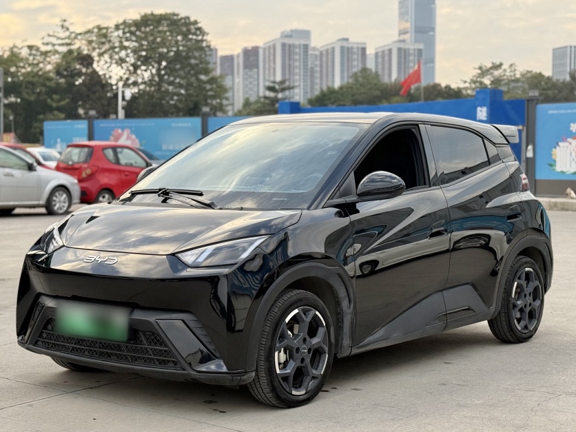 BYD Seagull 2024 BYD Seagull 2024 car image