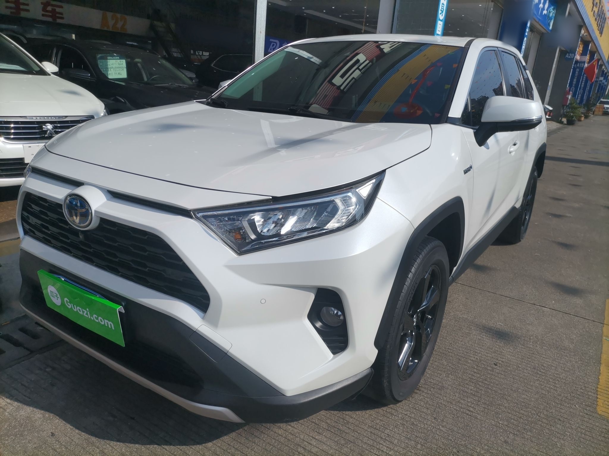 Toyota RAV4 2022 car image 