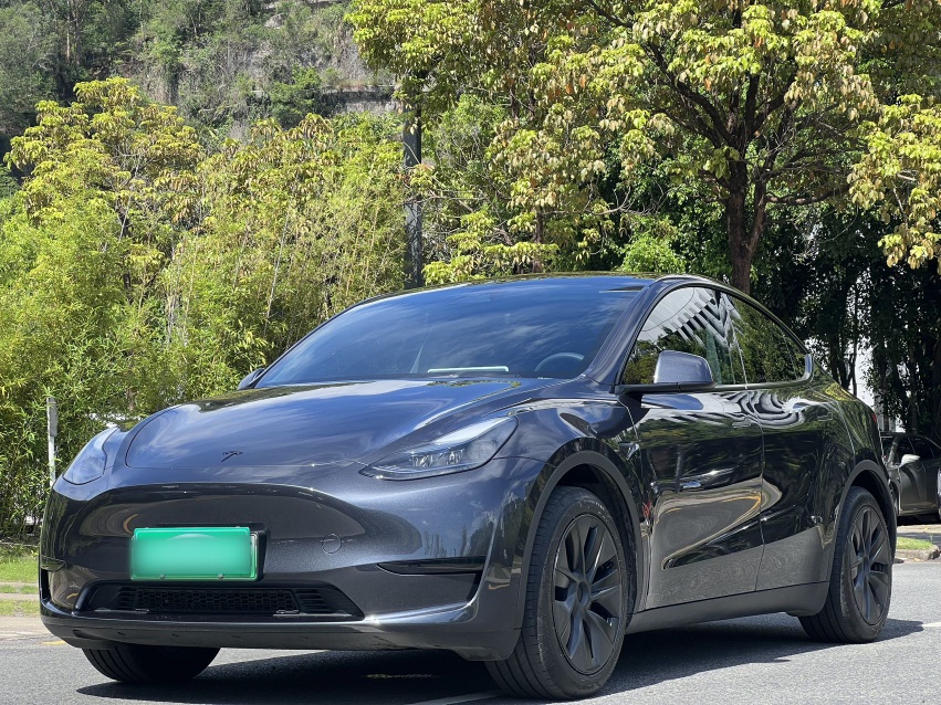 Tesla Model Y 2024 Tesla Model Y 2024 immagine di auto