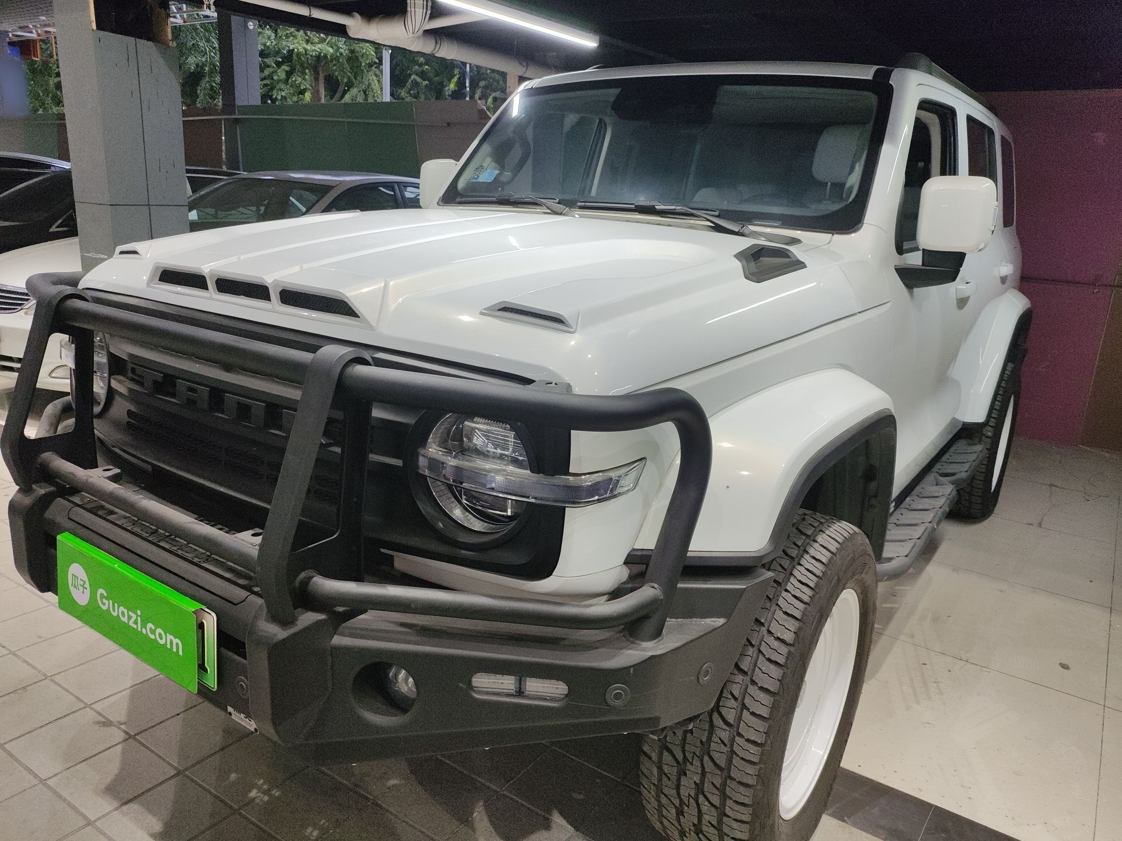 Tank 300 New Energy 2024 car image 