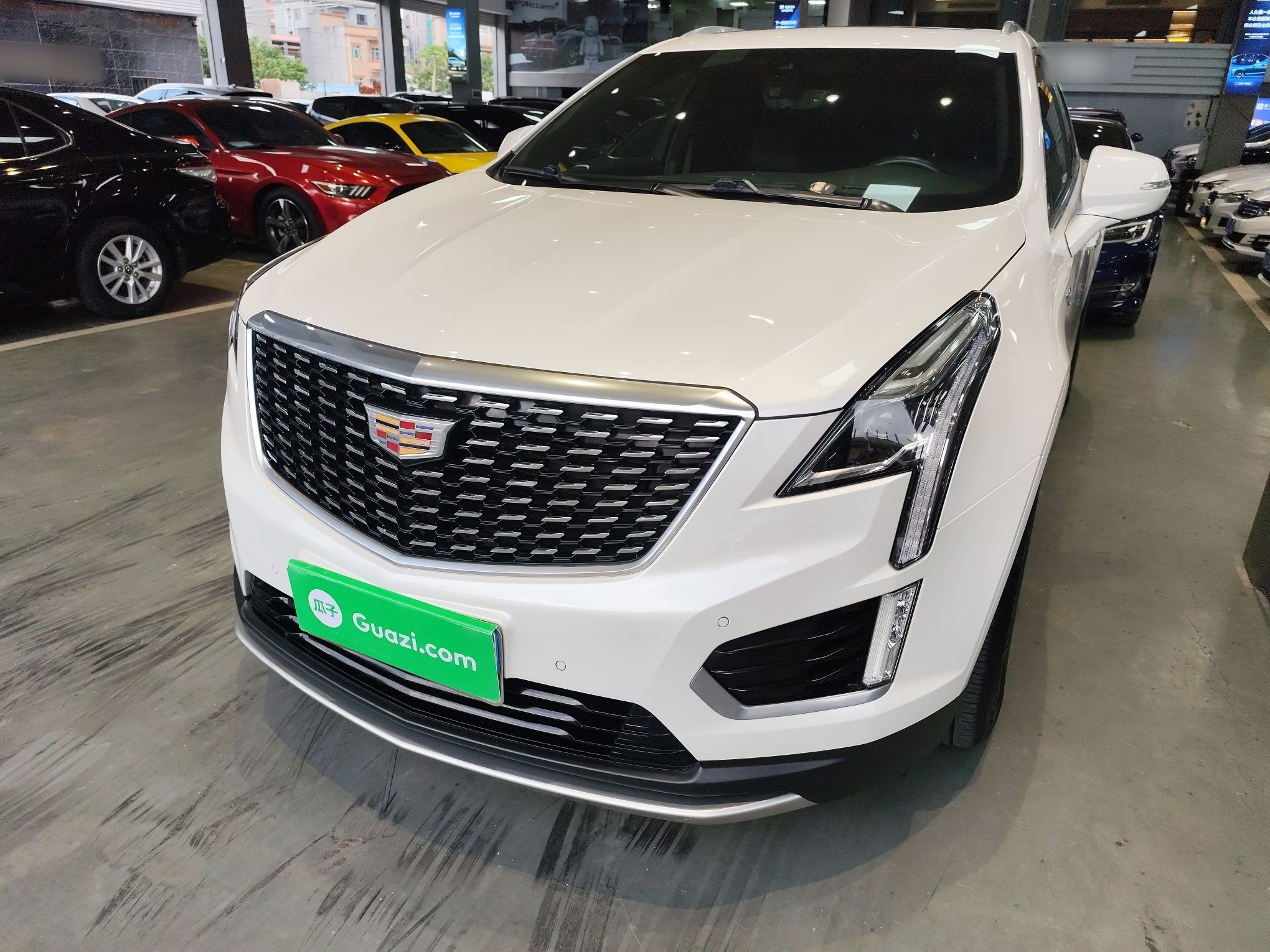 大众 凯迪拉克XT5 2019 汽车图片 