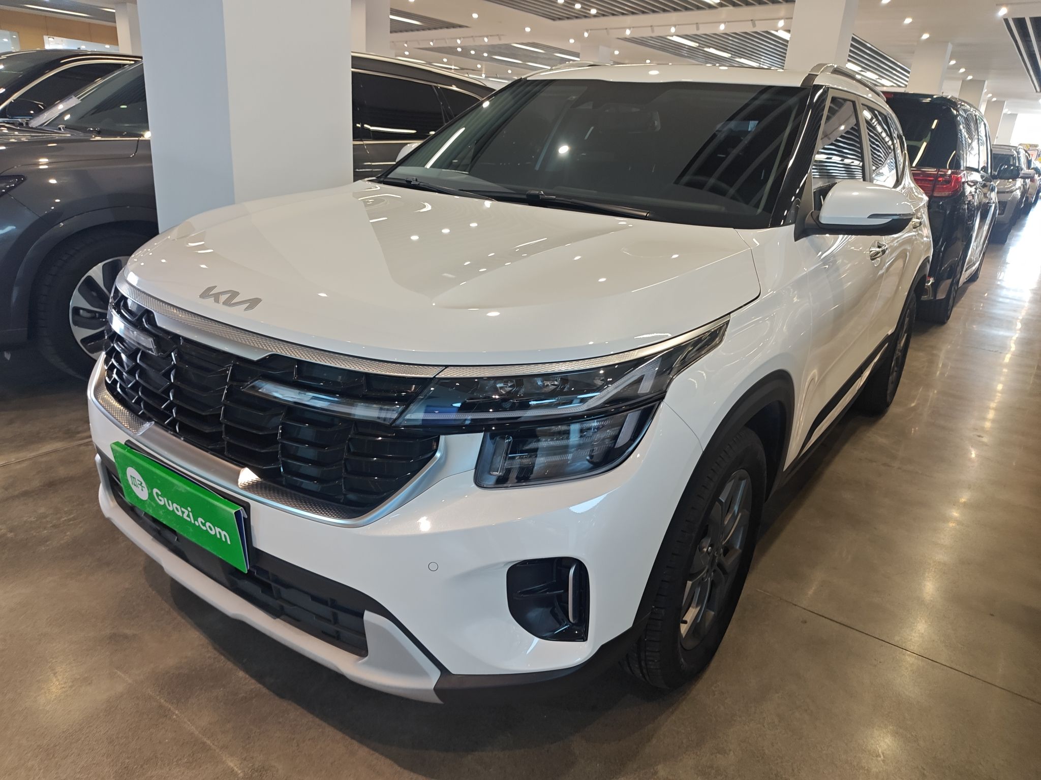 Kia Seltos 2025 car image 