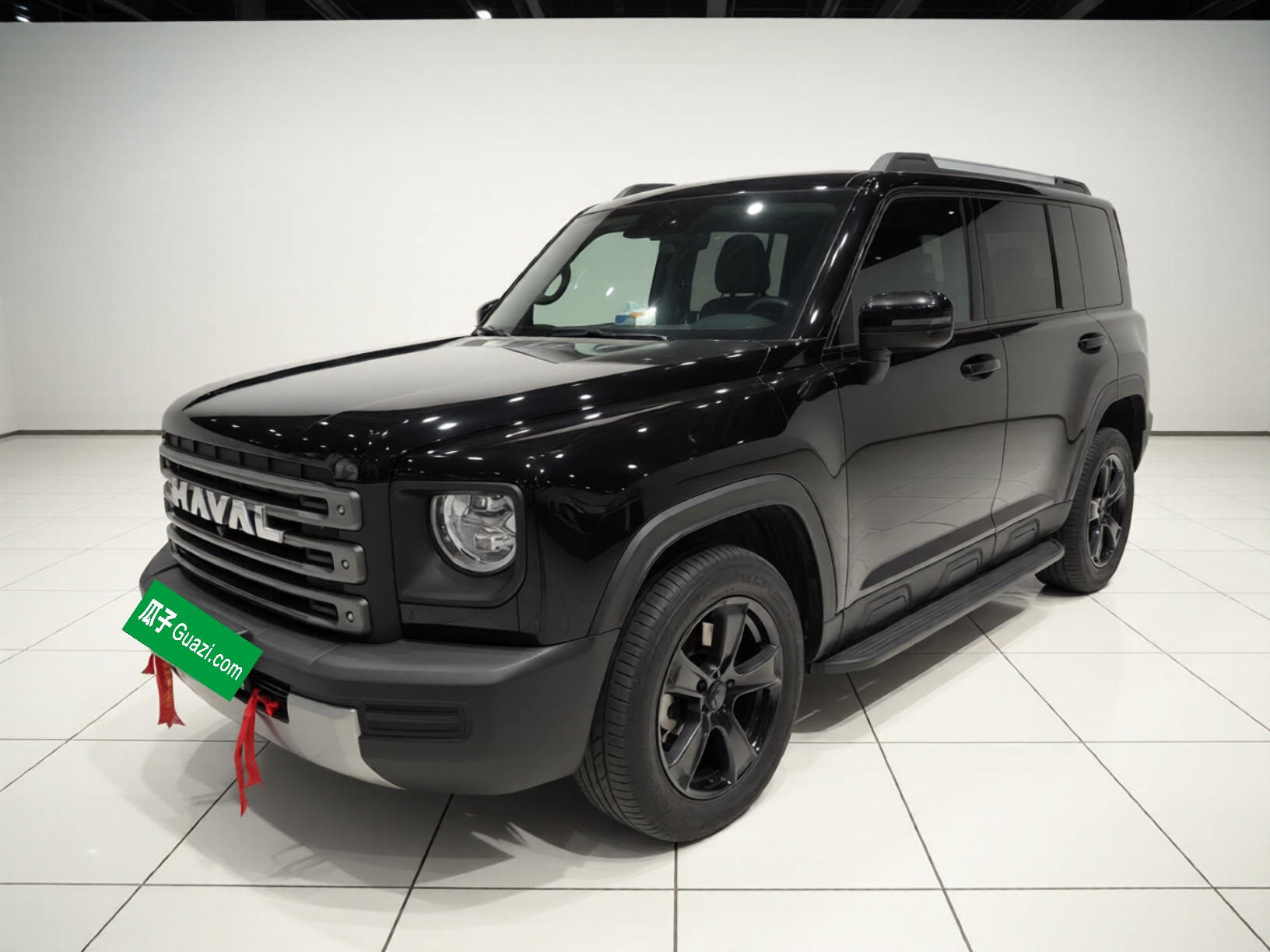 Haval Raptor New Energy 2023 car image 