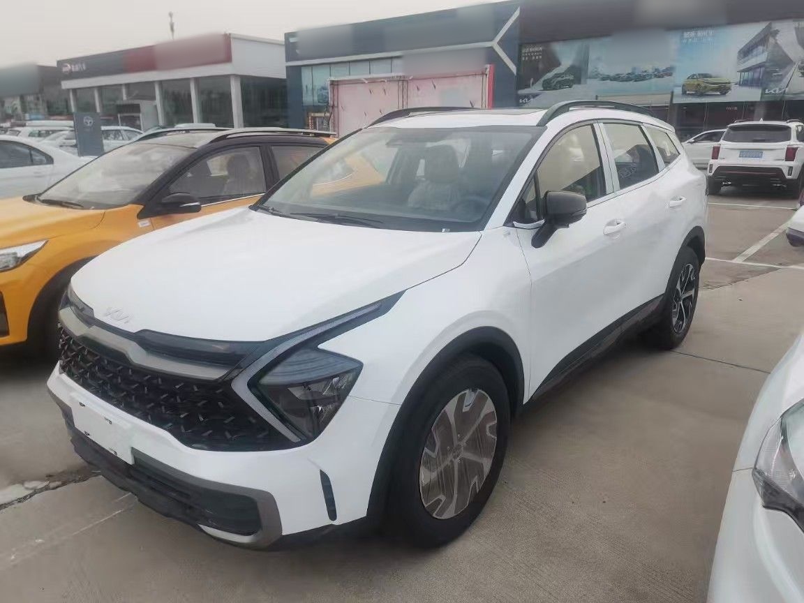 Kia Sportage car image 