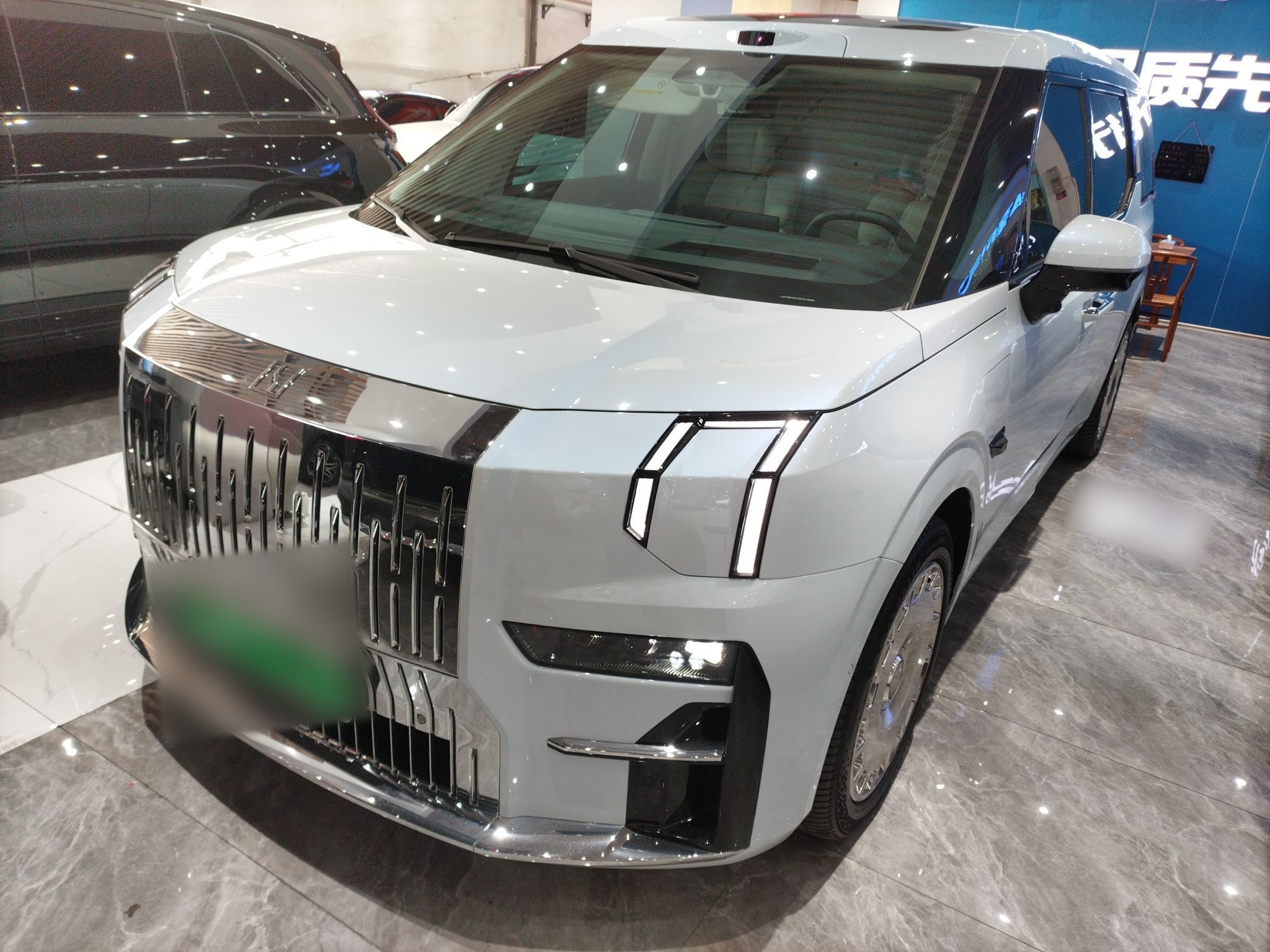 Zeekr 009 2025 汽车图片 