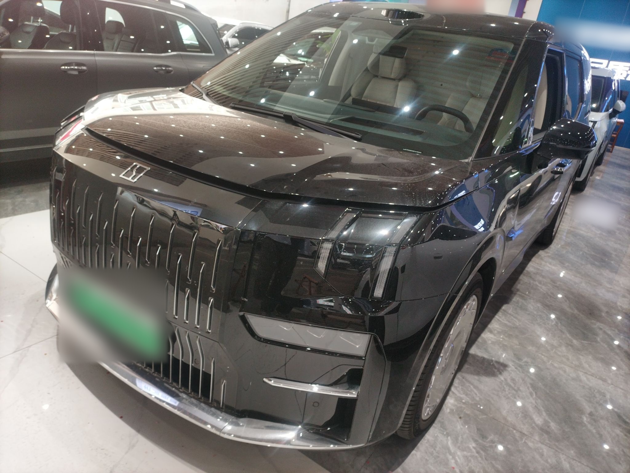 Zeekr 009 2025 汽车图片 