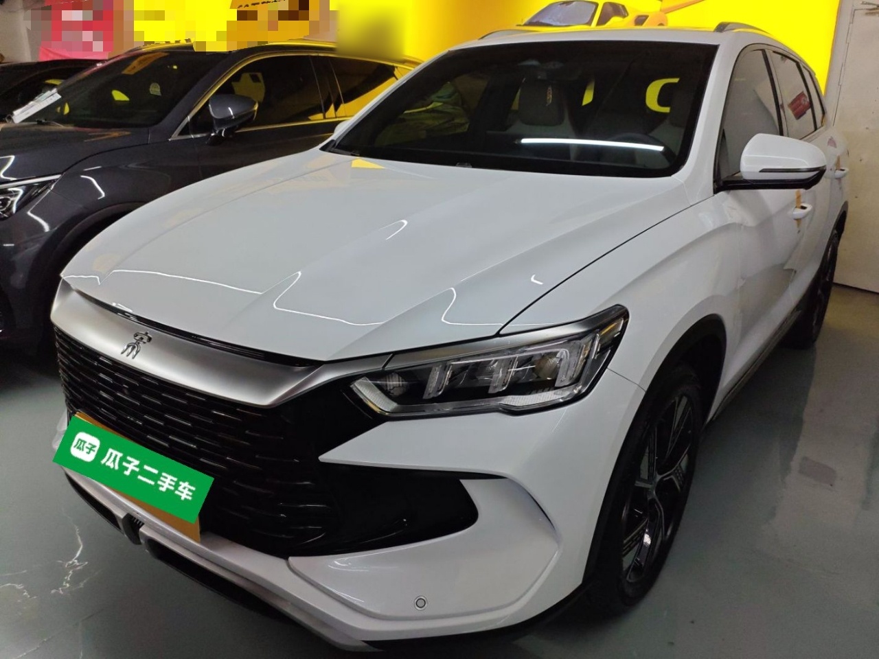 BYD Song Pro New Energy 2024 car image 