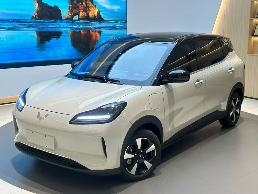 Wuling Binguo PLUS 2025 汽车图片 
