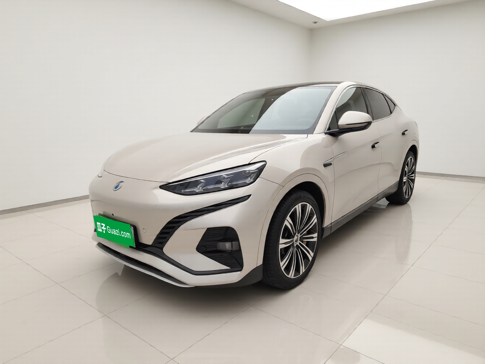 Denza 2023 car image 