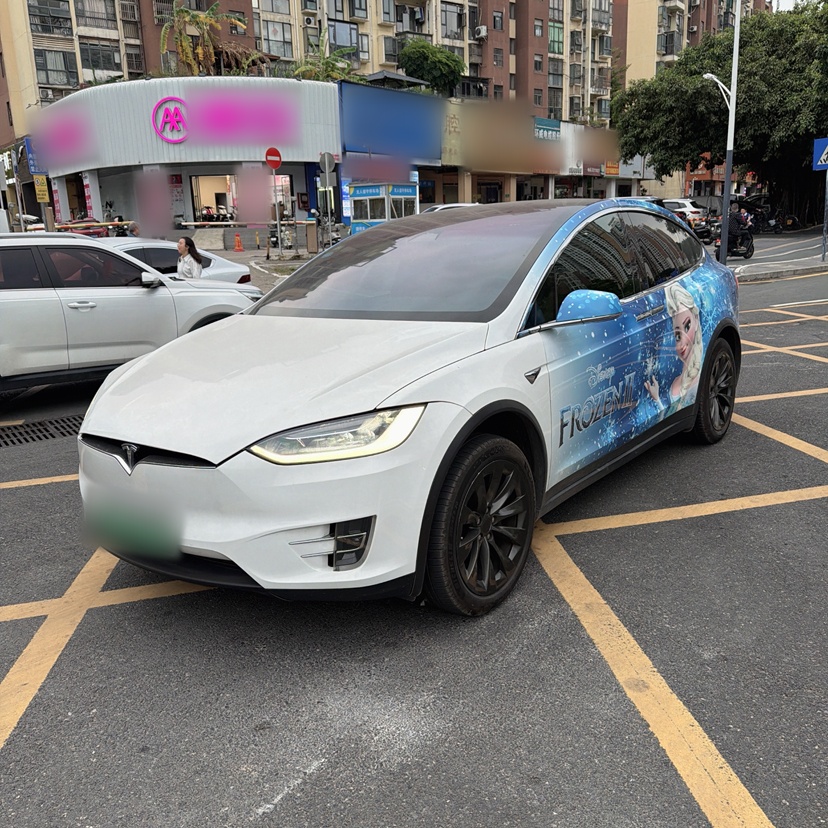 Tesla Model X 2019 汽车图片 