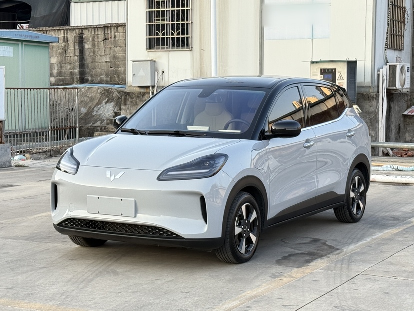 Wuling Binguo PLUS 2025 汽车图片 