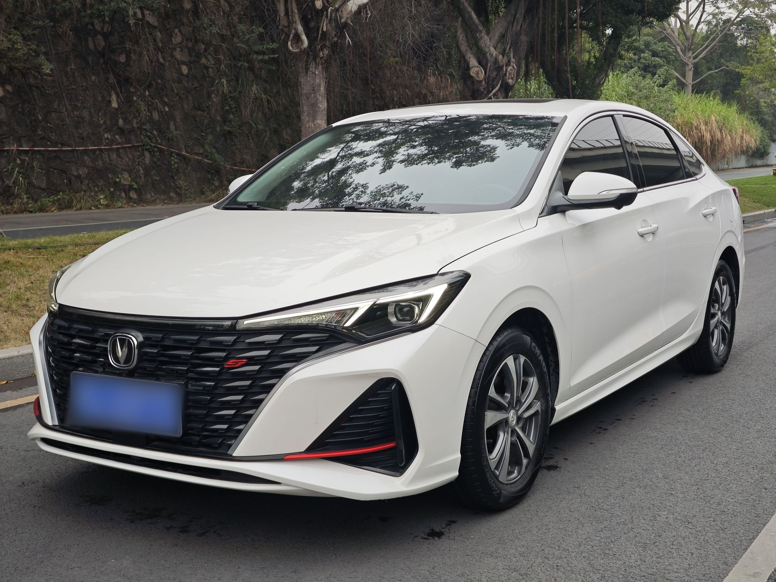 Changan Eado 2023 car image 