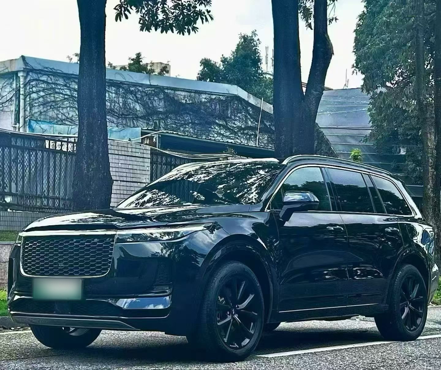 Li One 2021 汽车图片 