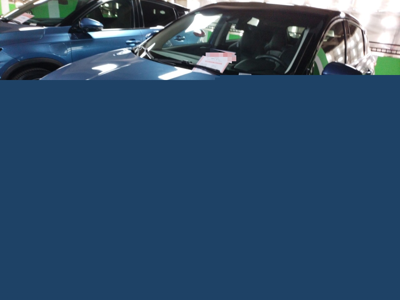 Xpeng G3 2019 immagine di auto 