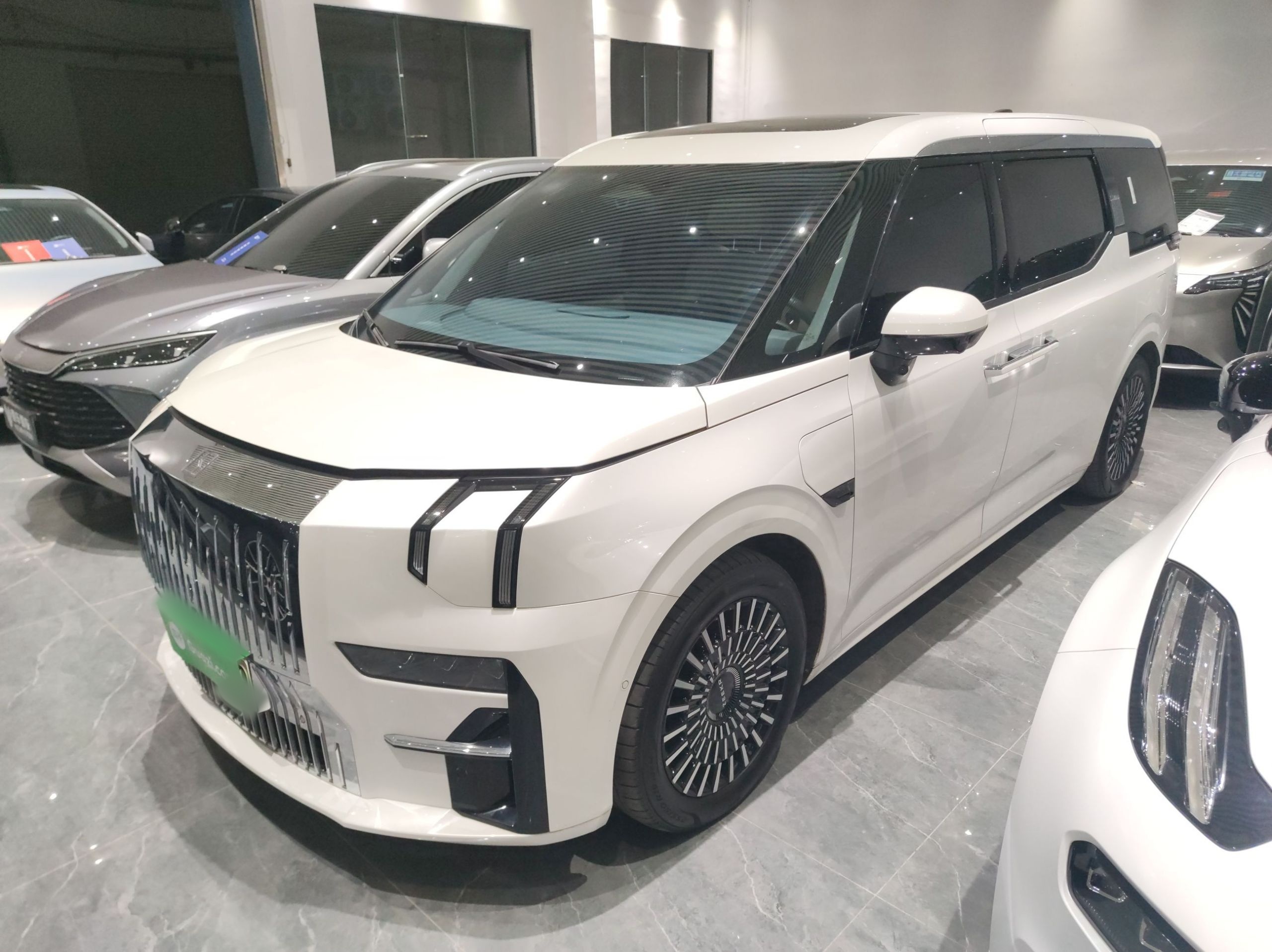 Zeekr 009 2023 汽车图片 