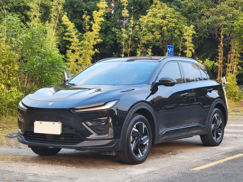 Neta X 2024 汽车图片 