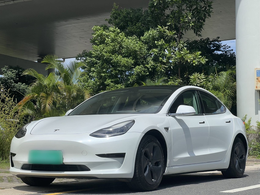 Tesla Model 3 2020 car image 