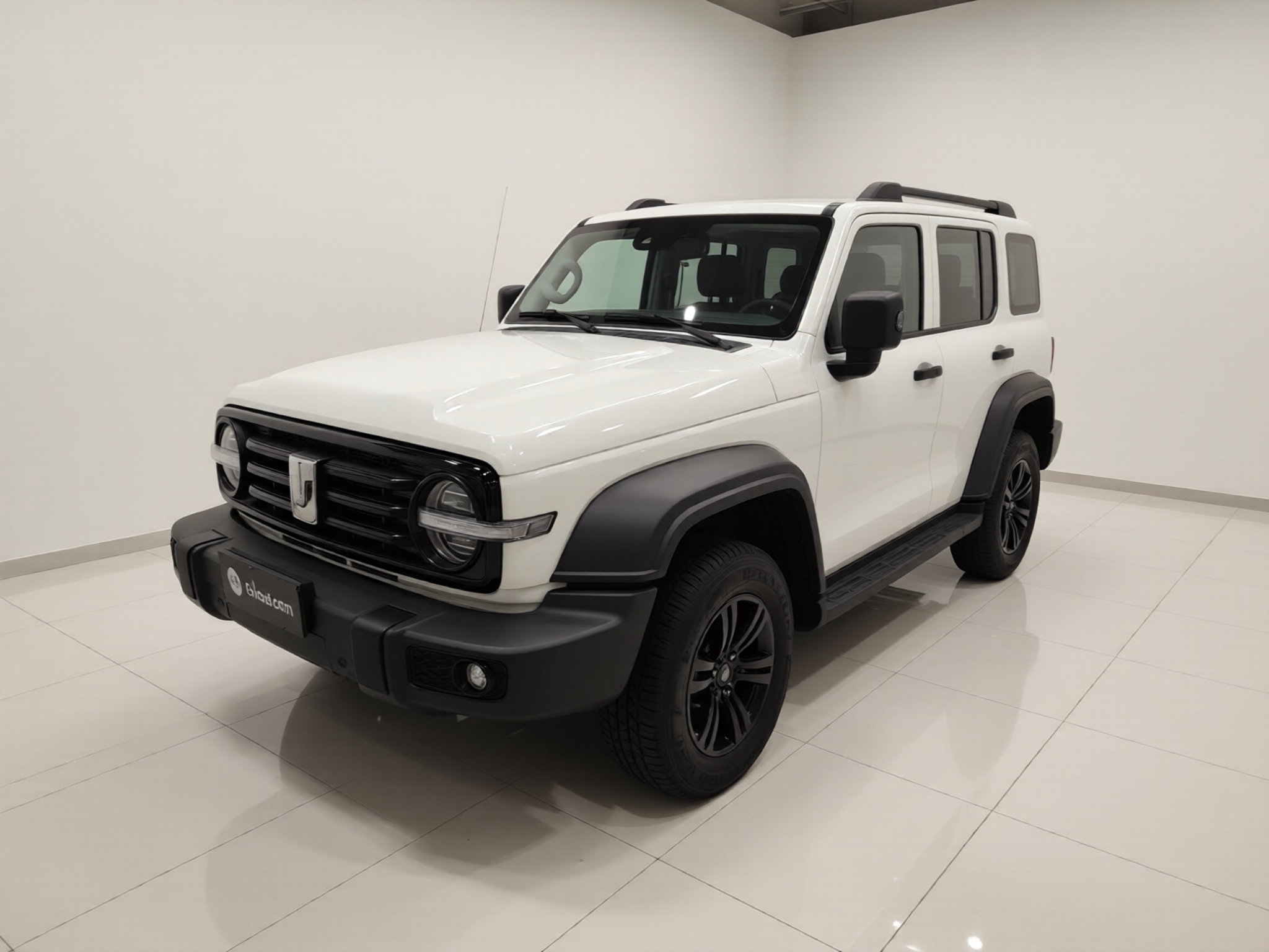 Tank 300 2021 Tank 300 2021 car image