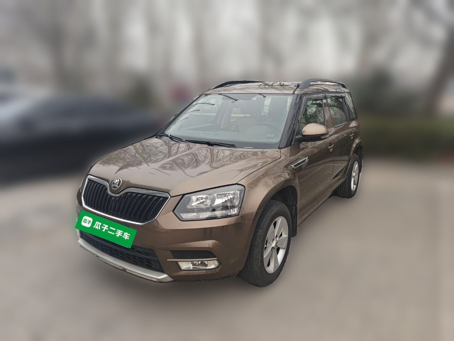 Skoda Yeti 2015 immagine di auto 