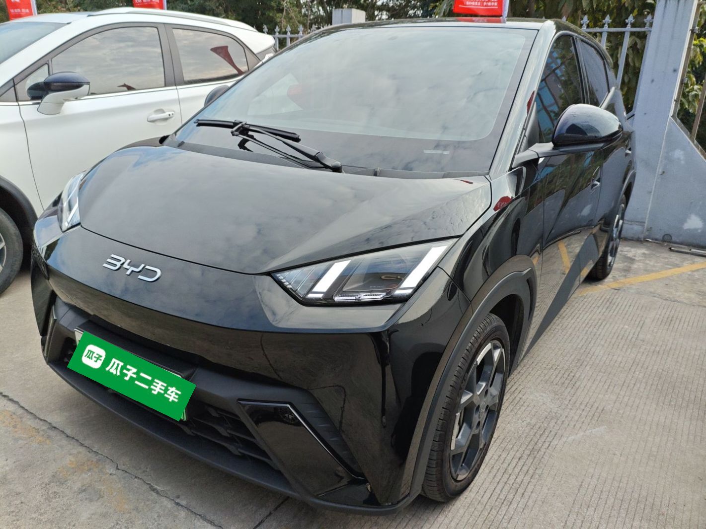 BYD Seagull 2024 car image 