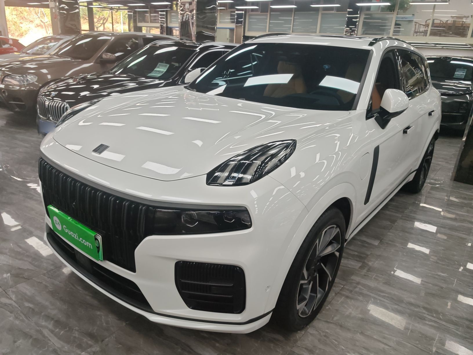 Lynk & Co 09 EM-P 2022 car image 