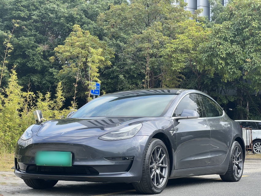 Tesla Model 3 (Imported) 2019 汽车图片 