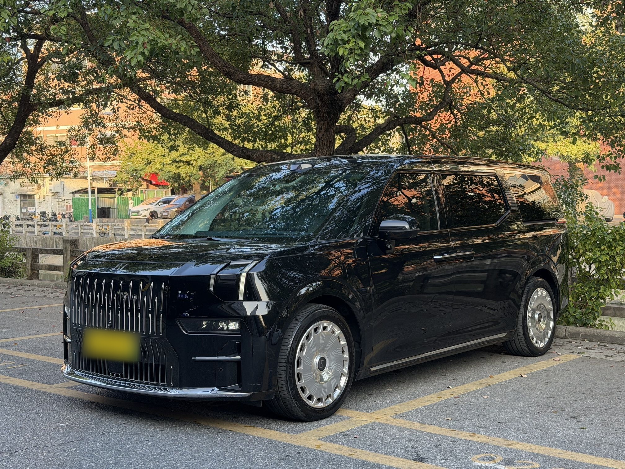 Zeekr 009 2024 汽车图片 