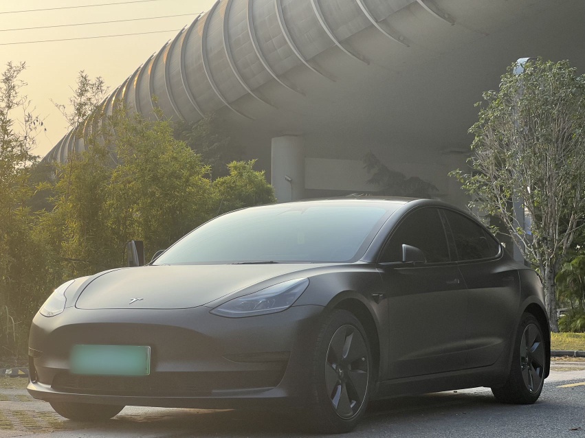 Tesla Model 3 2022 Tesla Model 3 2022 car image