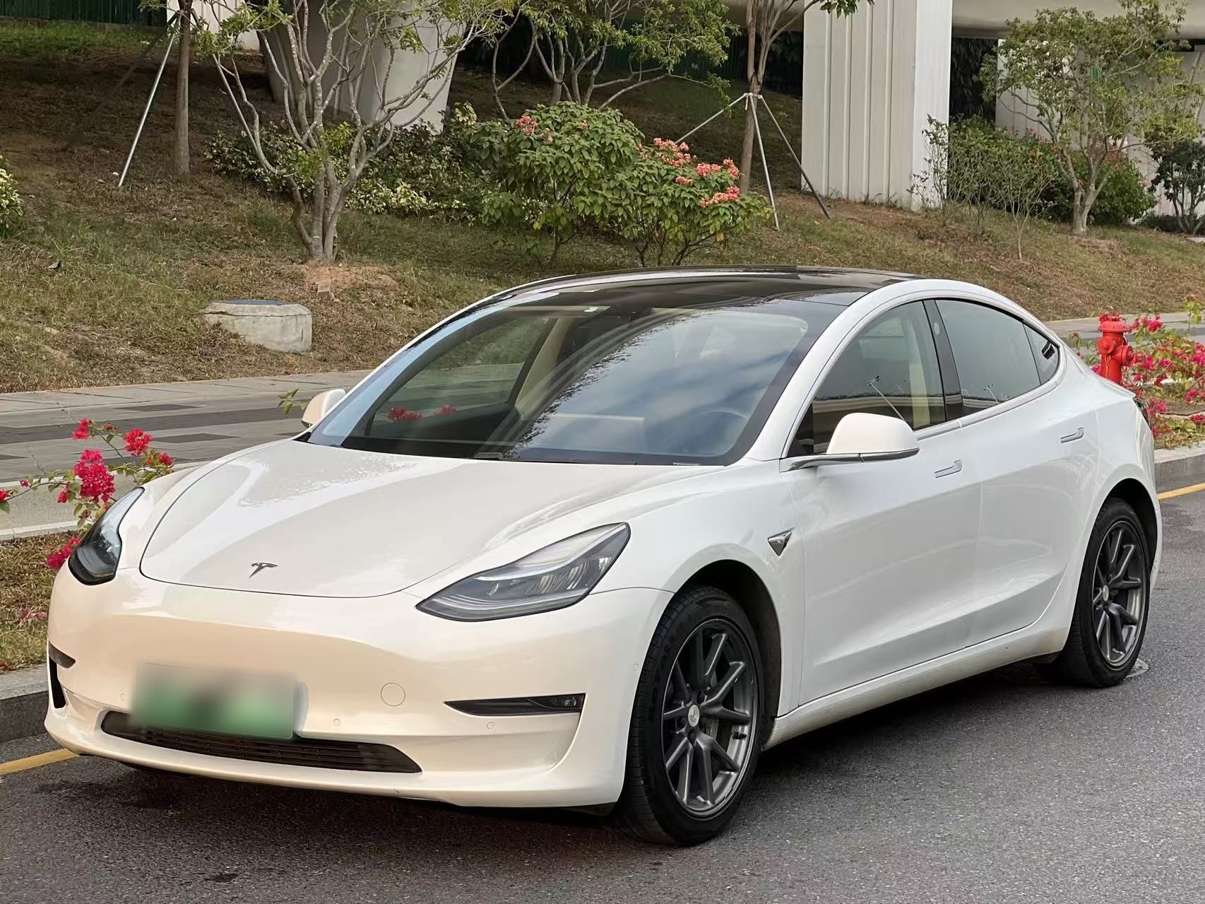 Tesla Model 3 2020 Tesla Model 3 2020 car image