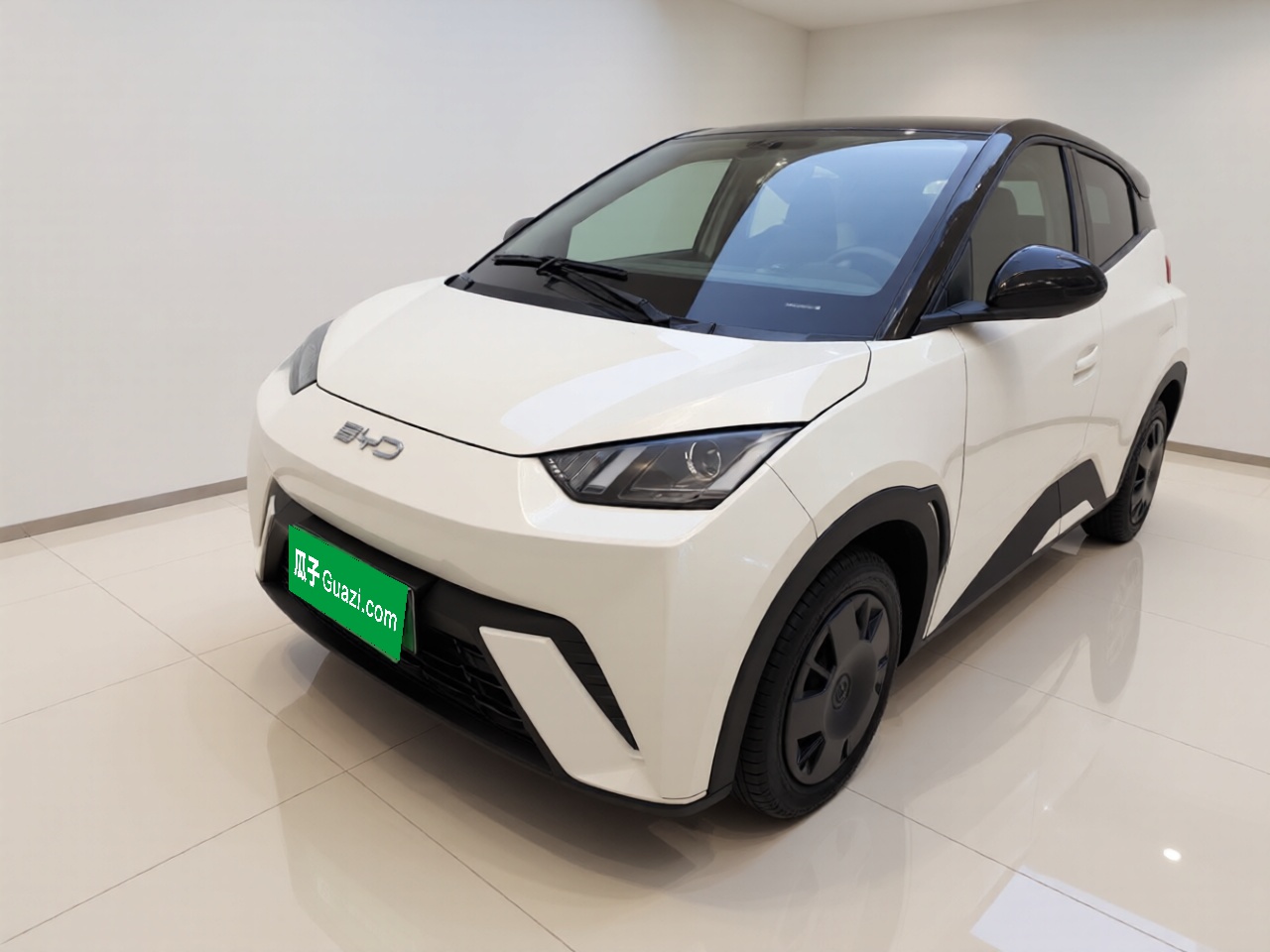 BYD Seagull 2024 car image 