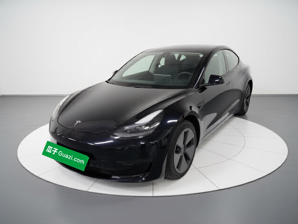 Tesla Model 3 2022 Tesla Model 3 2022 immagine di auto
